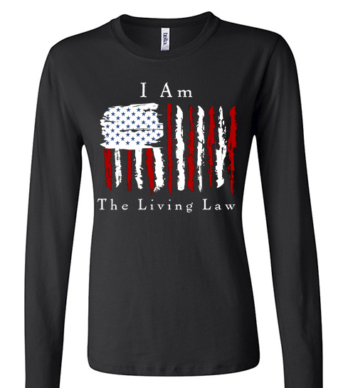 Women's Long Sleeve Jersey T-Shirt (State National Eagle Version)